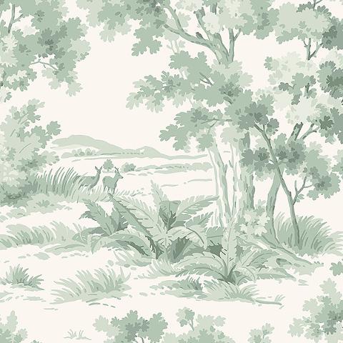 Countryside Morning