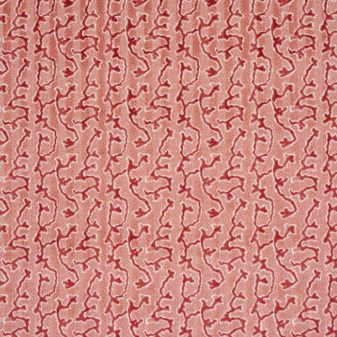 Corail Velvet