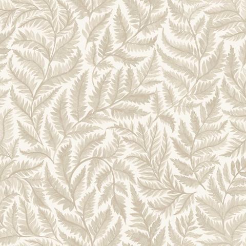 FERNS