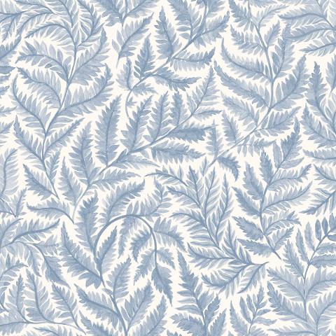 FERNS
