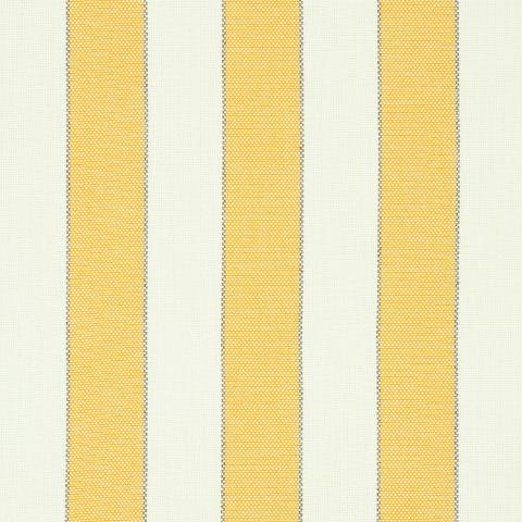 BLUMONT STRIPE INDOOR/OUTDOOR