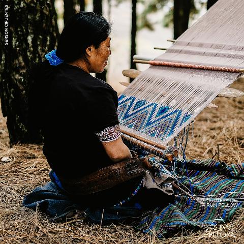 Coyolate Hand Woven Brocade