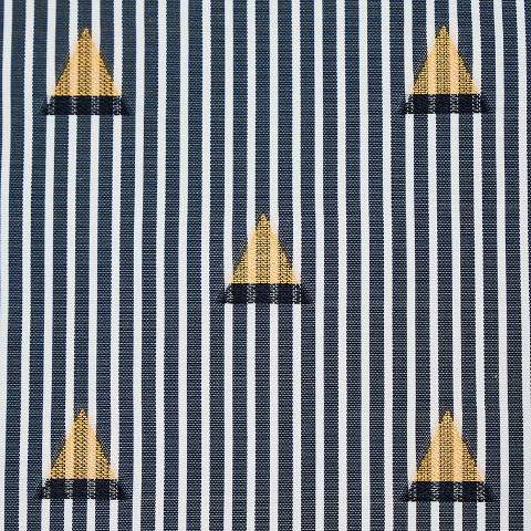 Ludus Stripe