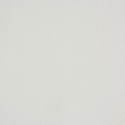Vegan Leather Indoor/Outdoor
