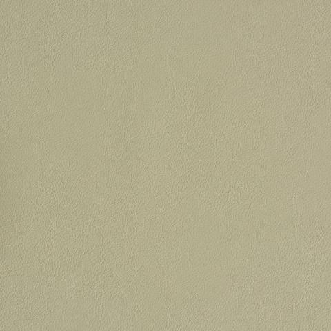 Vegan Leather Indoor/Outdoor