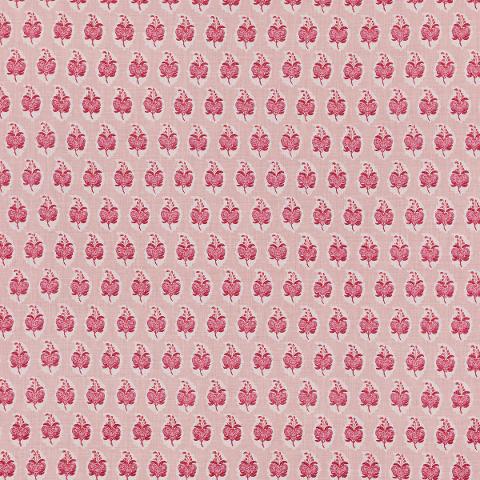 Pasha