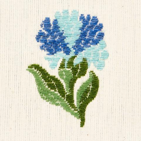 Rosina Floral
