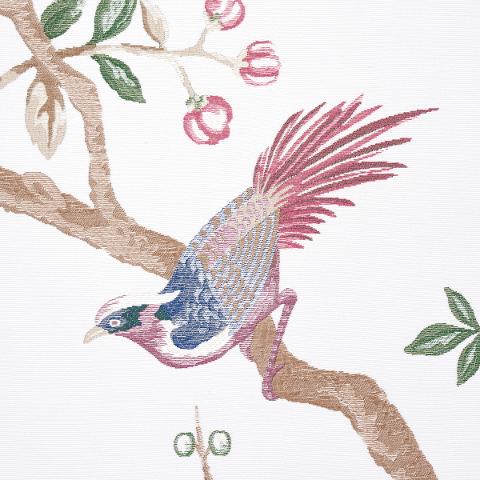 Georgia Vine