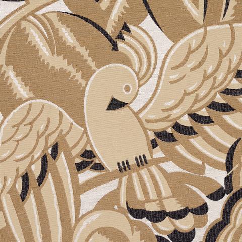 Parrots Moderne