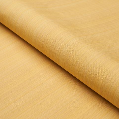GRACIE SOLID STRIÉ