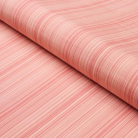 GRACIE SOLID STRIÉ
