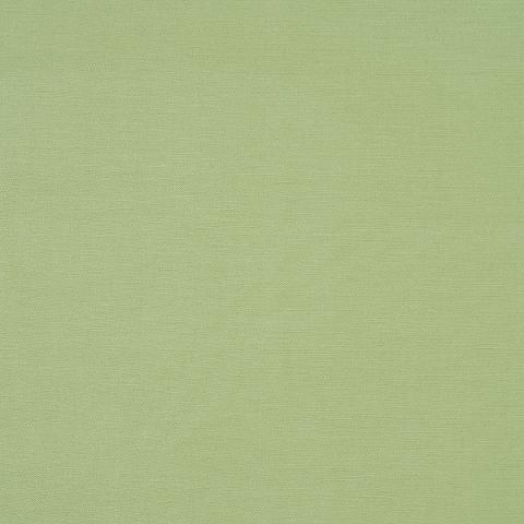Judy Texture