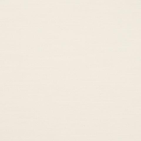 Judy Texture