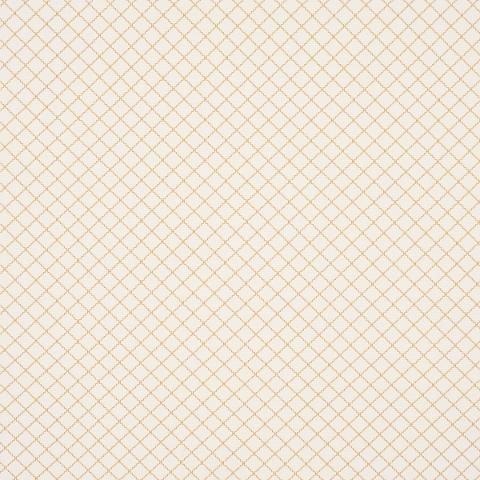 MAGGIE LATTICE