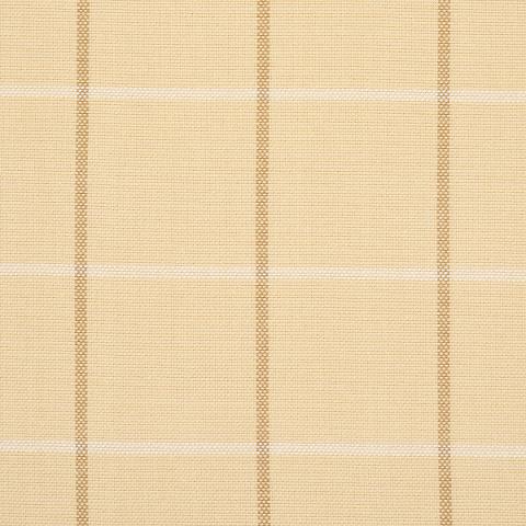 Frannie Windowpane