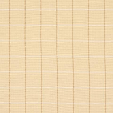 Frannie Windowpane