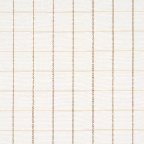 Frannie Windowpane