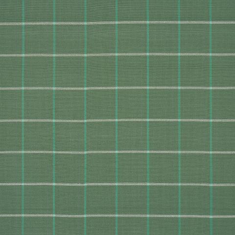 Frannie Windowpane