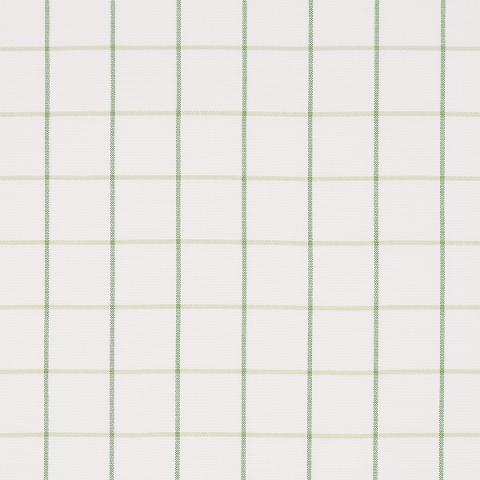 FRANNIE WINDOWPANE