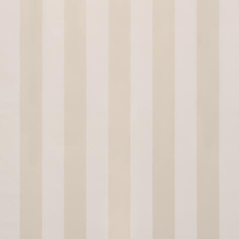 ROOSEVELT AWNING STRIPE