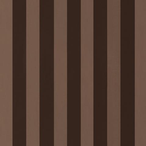 ROOSEVELT AWNING STRIPE