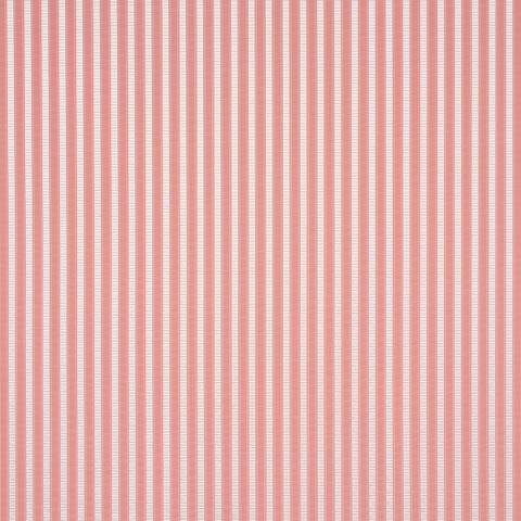LINCOLN SMALL STRIPE