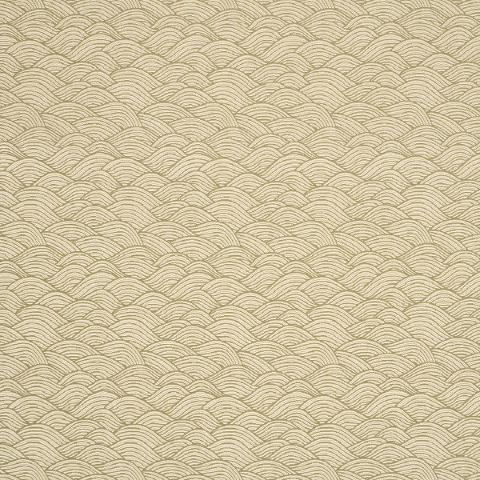 SYMPHONY SCALLOP