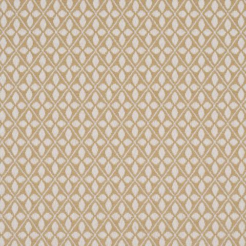 Adams Damask