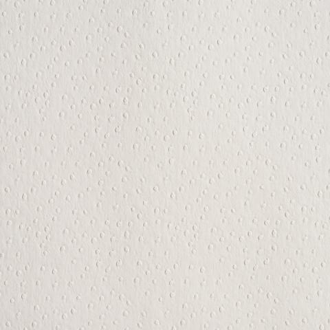OSTRICH VEGAN LEATHER