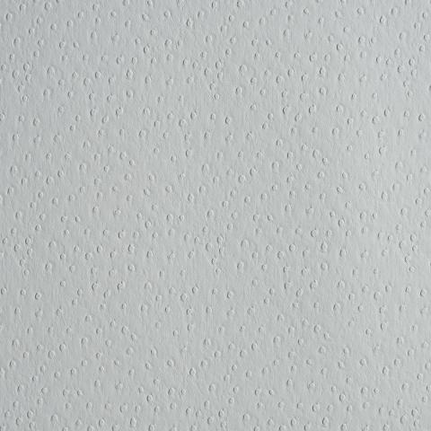 OSTRICH VEGAN LEATHER