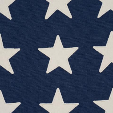 Starfield Appliqué