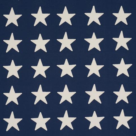 Starfield Appliqué