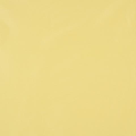 SARGENT SILK TAFFETA