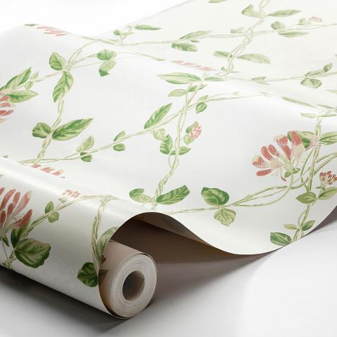 Honeysuckle