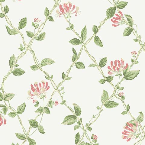 Honeysuckle