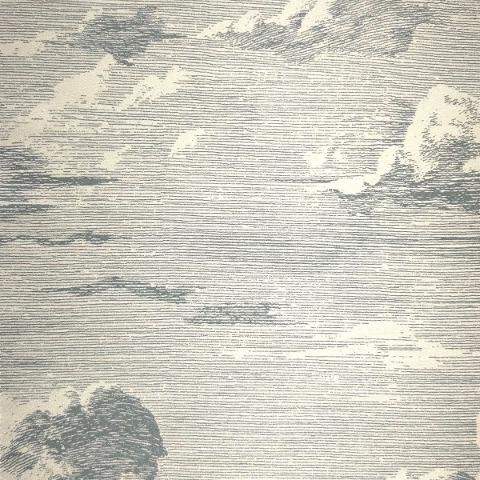 Hospitality Cloud Toile