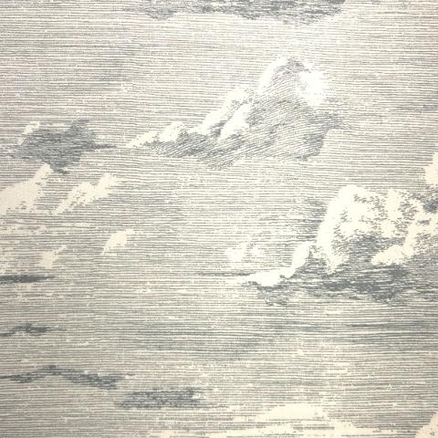 Hospitality Cloud Toile