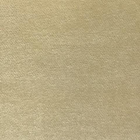 Hospitality Olympic Velvet