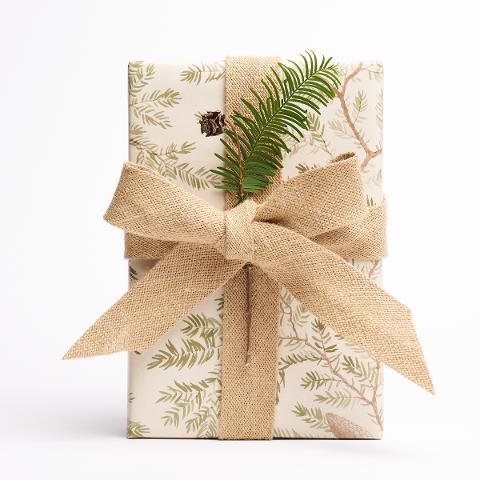 Pinewood Wrapping Paper