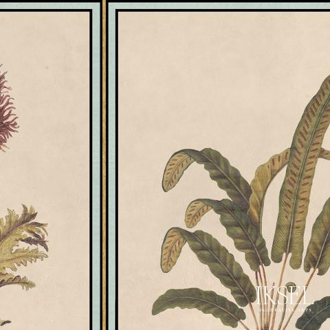Renaissance Herbier