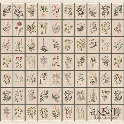 Renaissance Herbier