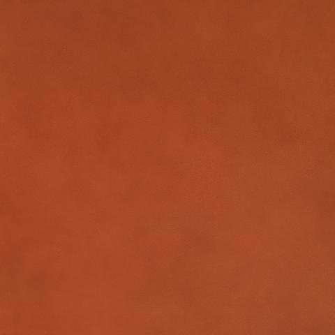 Iger