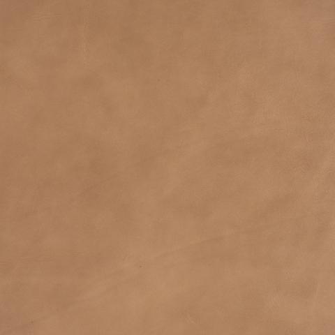 Iger