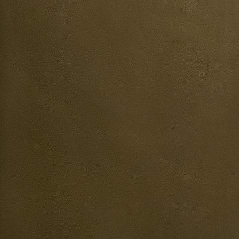 Pettini