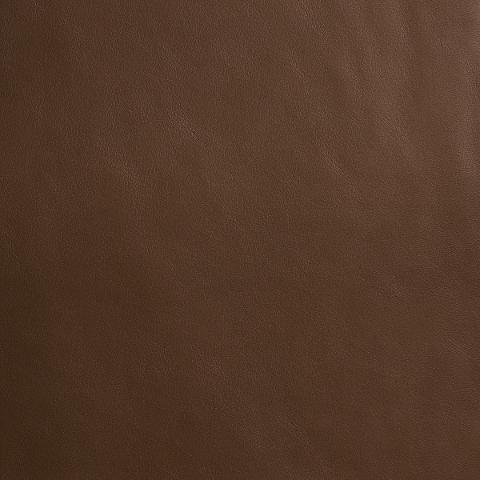 Pettini