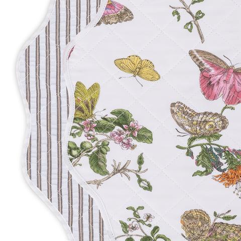 Butterfly/Matteo Placemats (4)