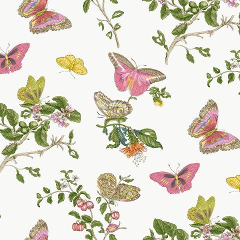 Baudin Butterfly Sleep Shirt