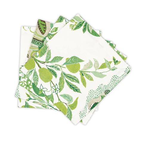 Citrus Garden Napkin, Set of 4