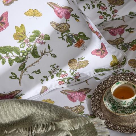 Baudin Butterfly Sham