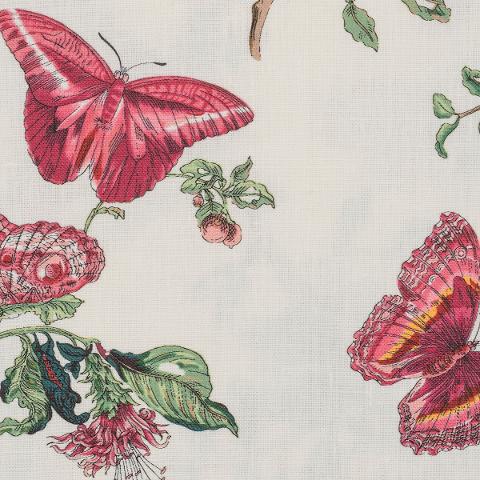 Baudin Butterfly Cocktail Napkins